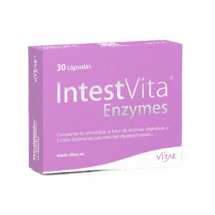 VITAE INTESTVITA ENZYMES 15 CÁPSULAS